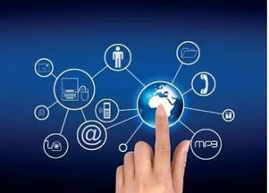 8月，佛山人的心弦被撥動 互聯網信息服務的溫情與考驗