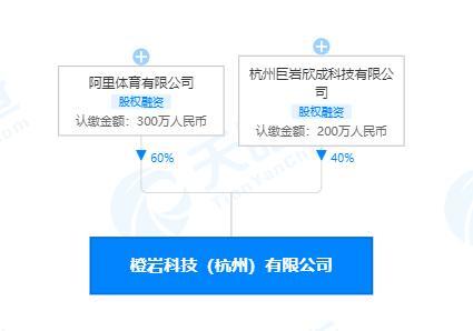 廣播電視節(jié)目制作經(jīng)營(yíng) 創(chuàng)意與管理的藝術(shù)